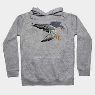 Flying Falcon Hoodie